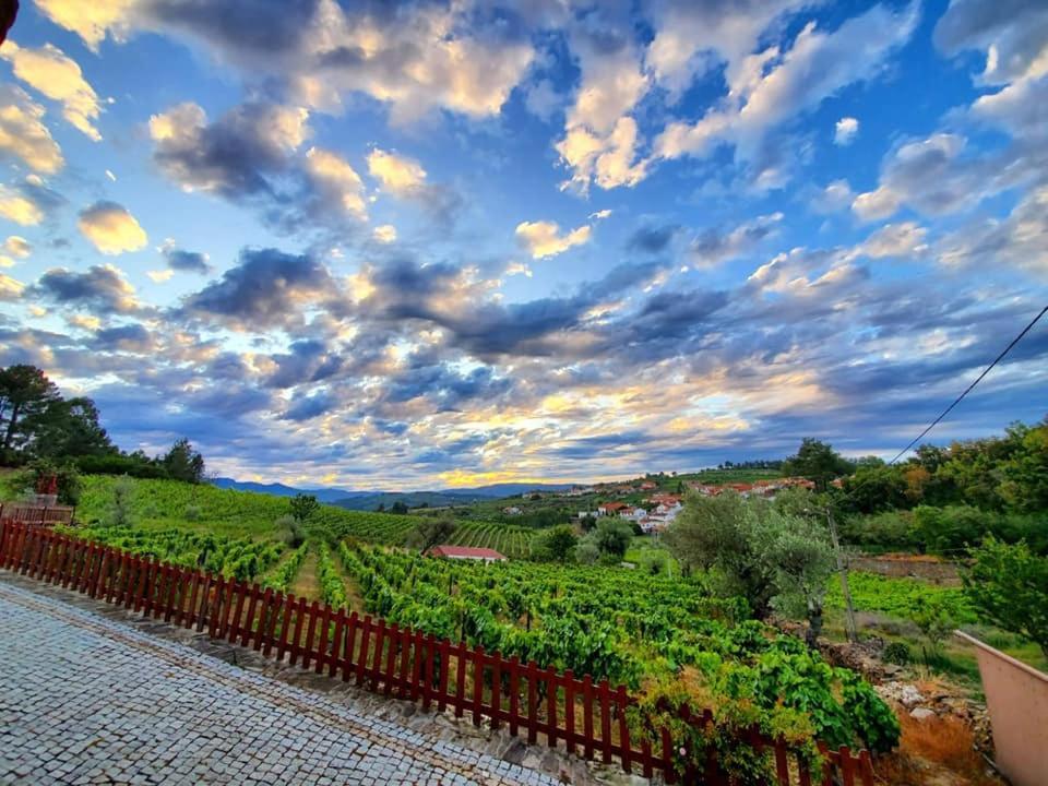 Hotel Casa Do Poco - Douro Peso da Régua Esterno foto