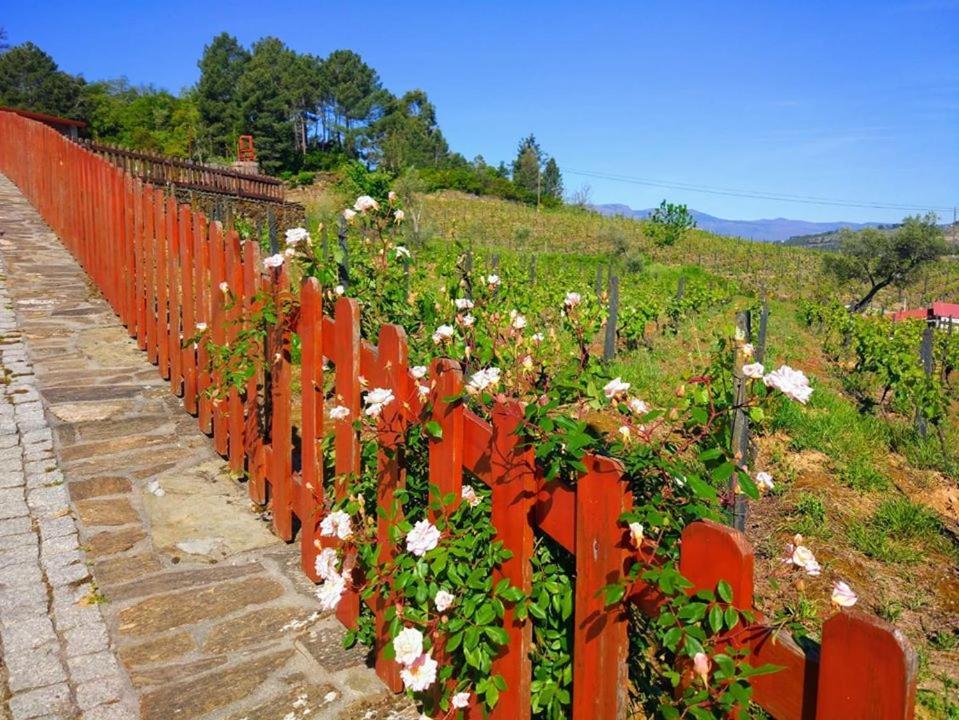 Hotel Casa Do Poco - Douro Peso da Régua Esterno foto