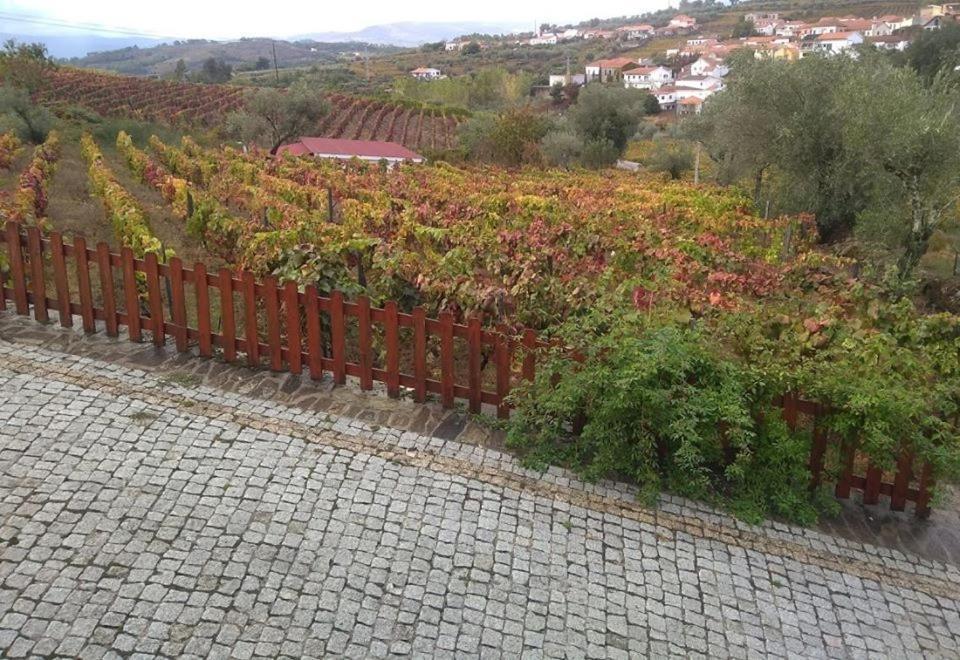 Hotel Casa Do Poco - Douro Peso da Régua Esterno foto